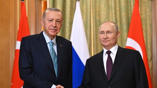 Президент РФ Владимир Путин и президент Турецкой Республики Реджеп Тайип Эрдоган во время встречи - Sputnik Грузия