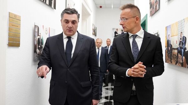 Глава МИД Венгрии Петер Сийярто и министр иностранных дел Грузии Илья Дарчиашвили - Sputnik Грузия