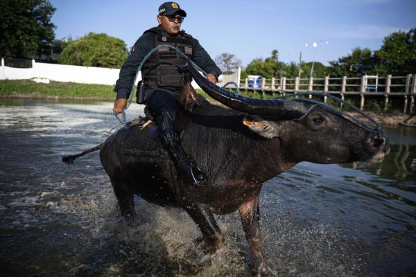 Военная полиция на острове Маражо в штате Пара, Бразилия. - Sputnik Грузия