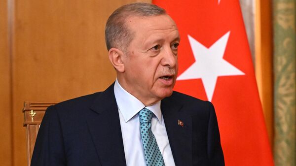 თურქეთის პრეზიდენტი რეჯეფ თაიიფ ერდოღანი - Sputnik საქართველო