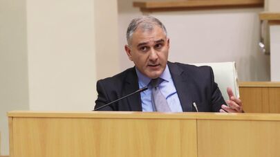 Михаил Сарджвеладзе