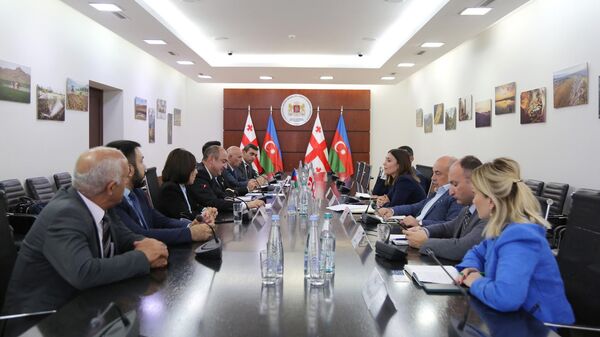 Отар Шамугия встретился с делегацией Министерства экологии и природных ресурсов Азербайджана - Sputnik Грузия