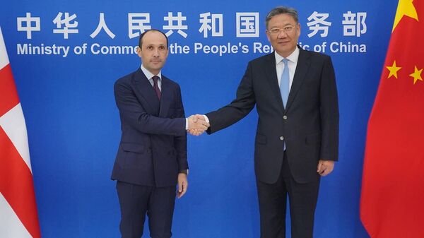 Леван Давиташвили с министром коммерции Китая Ваном Вэньтао - Sputnik Грузия