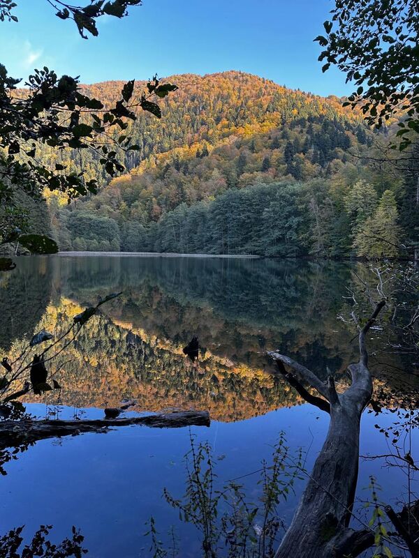 Живописнее всего озеро осенью, когда горы вокруг окрашиваются в разные цвета. - Sputnik Грузия