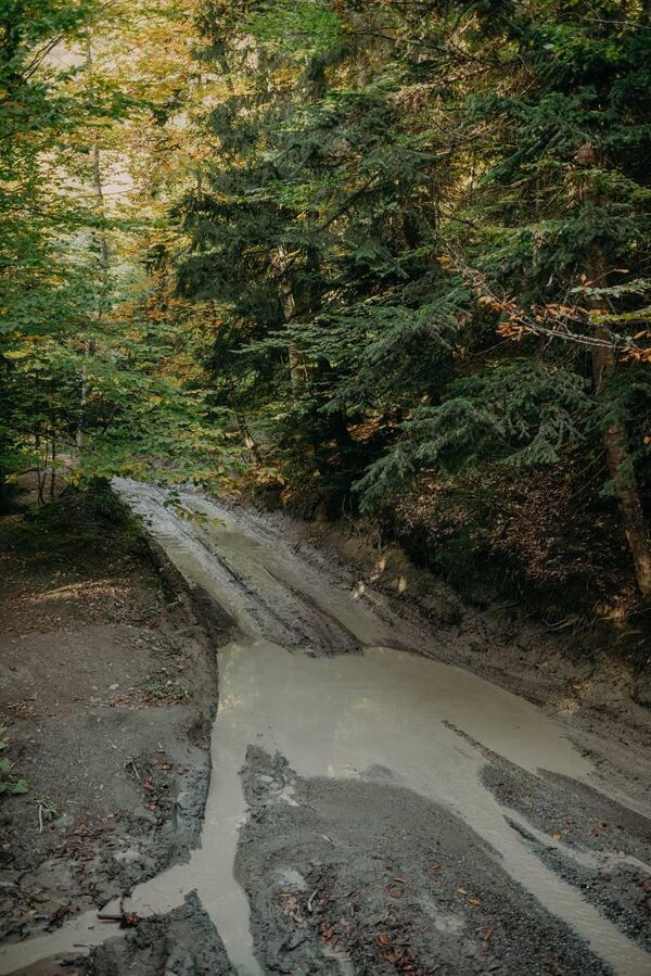 От основной дороги к озеру ведет три километра плохой глинистой дороги с резкими подъемами. - Sputnik Грузия