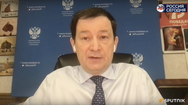 Обращение к СМИ зампостпреда России в ООН Полянского - видео - Sputnik Грузия