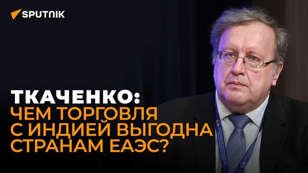 Экономист Ткаченко о газопроводе Север-Юг и зоне свободной торговли ЕАЭС и Индии - Sputnik Грузия