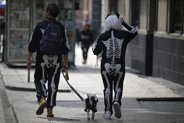 Пара прогуливается с собакой во время празднования Дня мертвых в Мехико. - Sputnik Грузия