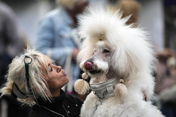 Женщина целует своего пуделя на выставке собак в Дортмунде. - Sputnik Грузия