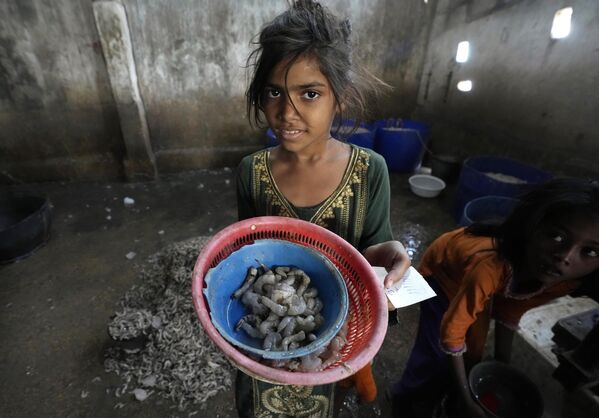 Пакистанские девушки чистят и сортируют креветки в районе трущоб Карачи. - Sputnik Грузия