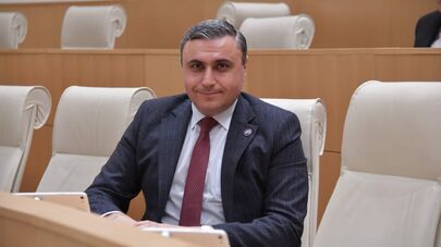 Депутат Давид Матикашвили