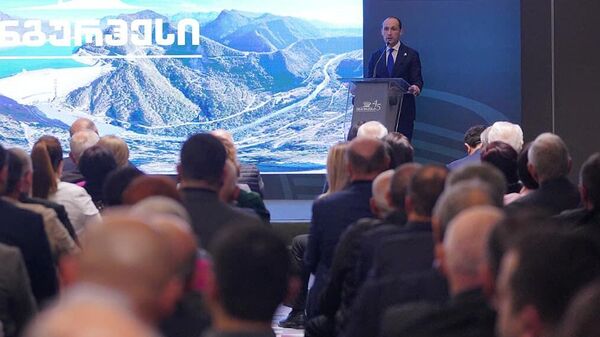 Министр экономики и устойчивого развития Леван Давиташвили выступил на мероприятии в честь 45-летия Ингури ГЭС - Sputnik Грузия