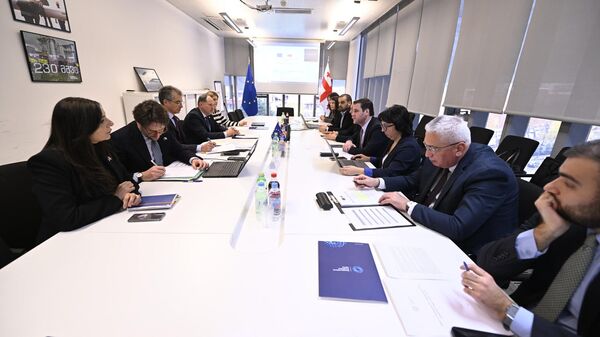  Комитет ассоциации по вопросам торговли между Грузией и Евросоюзом - Sputnik Грузия