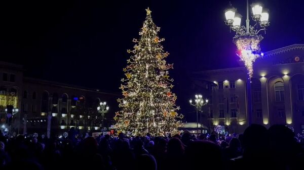 Праздничные огни зажглись на новогодней елке в Рустави – видео - Sputnik Грузия