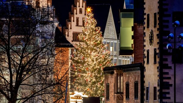 Рождественская елка на рождественской ярмарке во Франкфурте, Германия - Sputnik Грузия