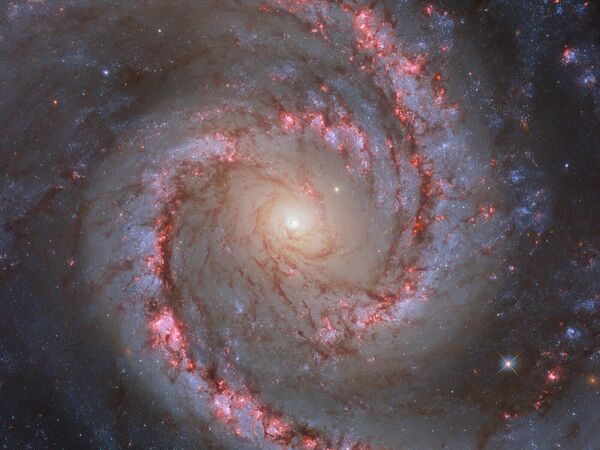 Спиральная галактика NGC 1566, также известная как &quot;Галактика Испанской танцовщицы&quot;. - Sputnik Грузия