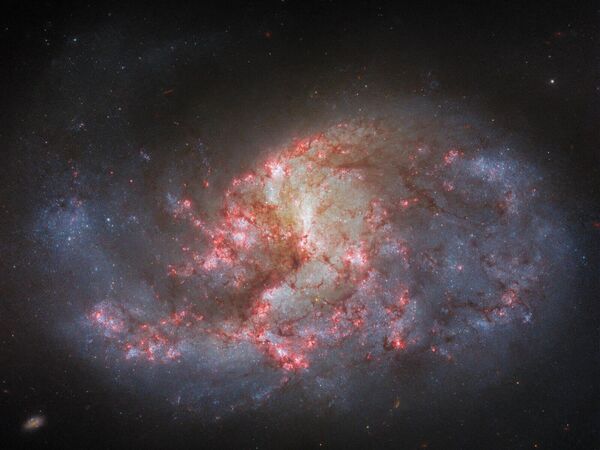 Спиральная галактика NGC 1385, находящаяся примерно в 30 миллионах световых лет от Земли. - Sputnik Грузия