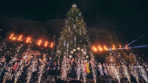 Новогодняя елка в Тбилиси - Sputnik Грузия