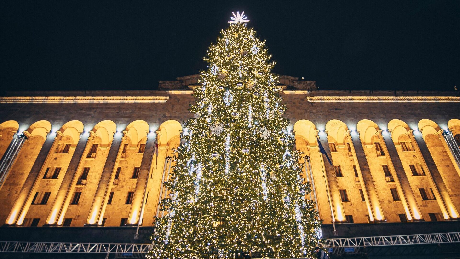 საახალწლო ნაძვისხე - Sputnik საქართველო, 1920, 16.12.2024