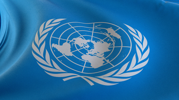 Флаг Организации Объединенных Наций (ООН) - Sputnik Грузия