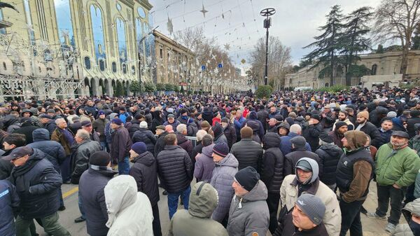 Акция протеста Альт-Инфо у здания парламента Грузии - Sputnik Грузия