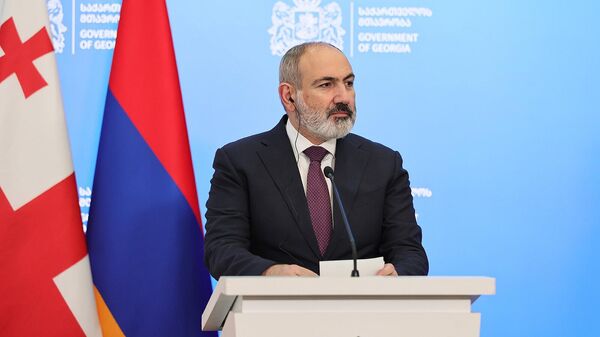Премьер-министр Армении Никол Пашинян на совместной пресс-конференции с грузинским коллегой - Sputnik Грузия