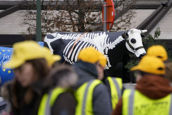 Французские и бельгийские фермеры стоят перед пластиковой коровой с нарисованным на ней скелетом во время демонстрации возле Европейского парламента в Брюсселе. - Sputnik Грузия