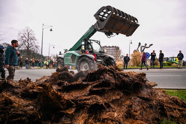 Трактор сбрасывает навоз на улицу во время демонстрации фермеров, требующих улучшения условий для выращивания продукции и поддержания надлежащего дохода в Бельгии. - Sputnik Грузия