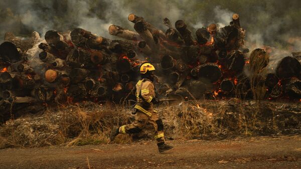 Лесные пожары в Чили - есть погибшие и пострадавшие