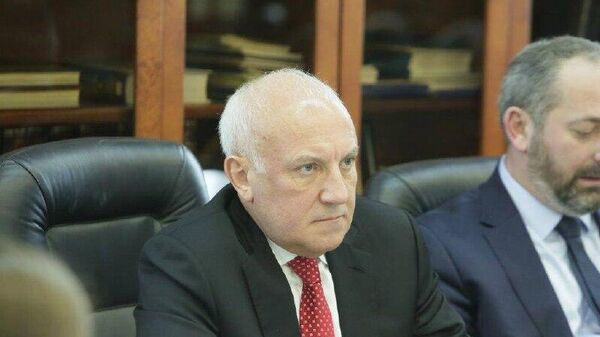 Юрий Балашов, председатель Российско-Грузинского делового совета при ТПП РФ - Sputnik Грузия