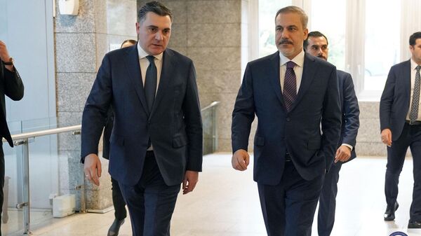 Министр иностранных дел Грузии Илия Дарчиашвили со своим турецким коллегой Хаканом Фиданом - Sputnik Грузия