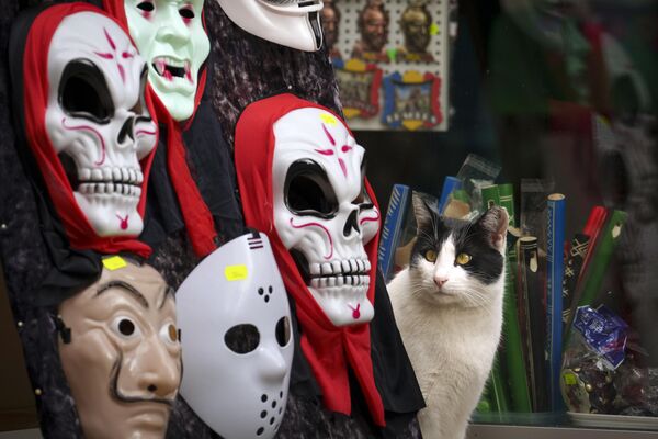 Кошка рассматривает маски возле сувенирного магазина в Бухаресте. - Sputnik Грузия
