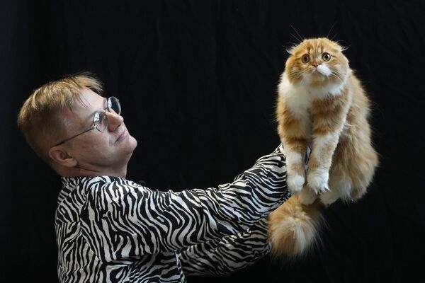 Судья держит шотландского вислоухого кота на мероприятии Cat Extravaganza в Лондоне. - Sputnik Грузия
