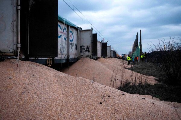 Полицейские, таможенники и железнодорожники стоят рядом с грудами кукурузы, лежащими на земле возле вагонов в деревне Котомеж. - Sputnik Грузия