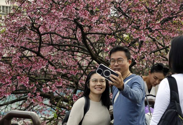Люди фотографируются на фоне цветущей сакуры во время празднования китайского лунного Нового года в Тайбэе, Тайвань. - Sputnik Грузия
