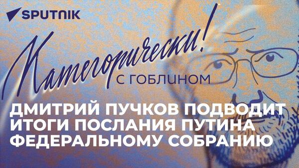 Категорически с Гоблином: послание Путина Федеральному собранию и успехи России в зоне СВО - Sputnik Грузия