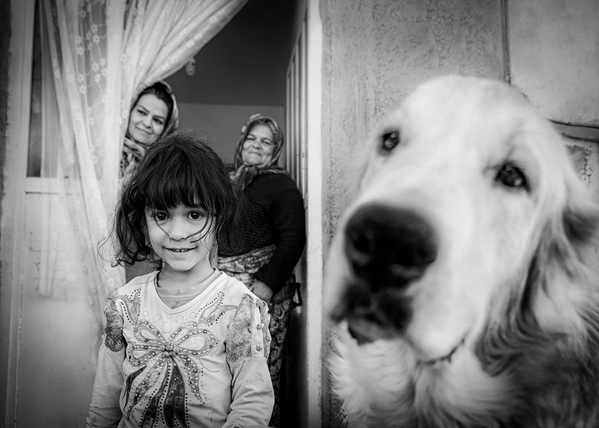 Снимок &quot;Зейнаб и ее старая собака Пашмалу&quot; иранского фотографа Сейеда Али Хоссейни Фара. - Sputnik Грузия