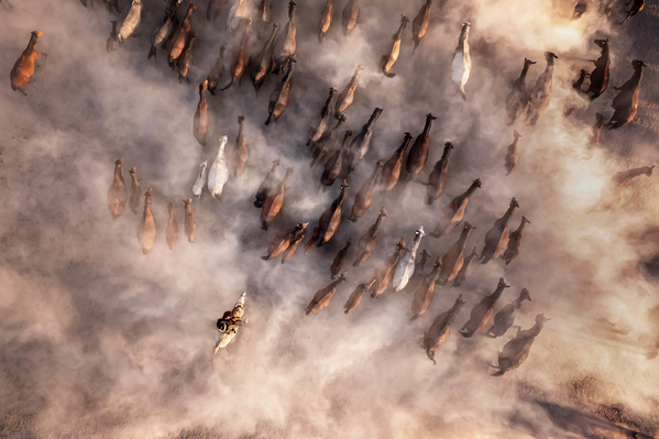 Снимок &quot;Бегущий в облаках&quot; турецкого фотографа Ф.Дилека Юрдакула. - Sputnik Грузия