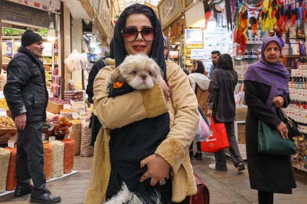 Девушка с собачкой на рынке в Тегеране. - Sputnik Грузия