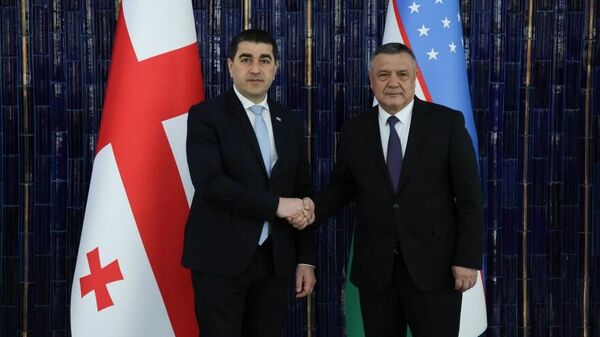 Шалва Папуашвили с председателем Нижней палаты парламента Узбекистана Нурдинджоном Исмаиловым - Sputnik Грузия