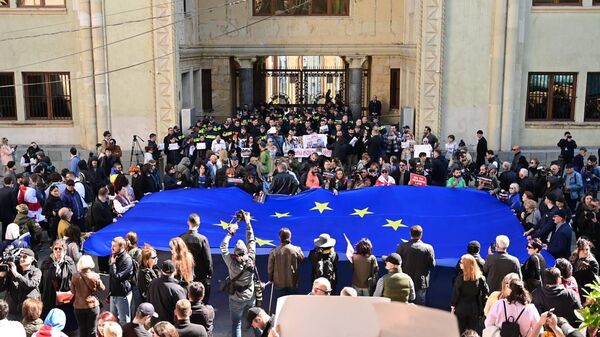 Евросоюз отчитался о финансировании неправительственного сектора в Грузии