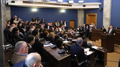 Заседание юридического комитета парламента Грузии