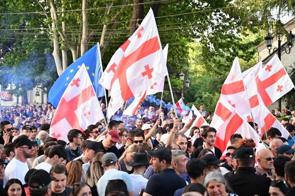 На акции было мало плакатов, зато множество флагов Грузии, можно было заметить и флаги &quot;Грузинской мечты&quot;. - Sputnik Грузия