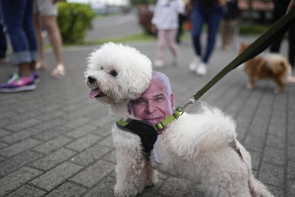 Собака с портретом кандидата в президенты Панамы Хосе Рауля Мулино во время предвыборного мероприятия в Панама-Сити. - Sputnik Грузия