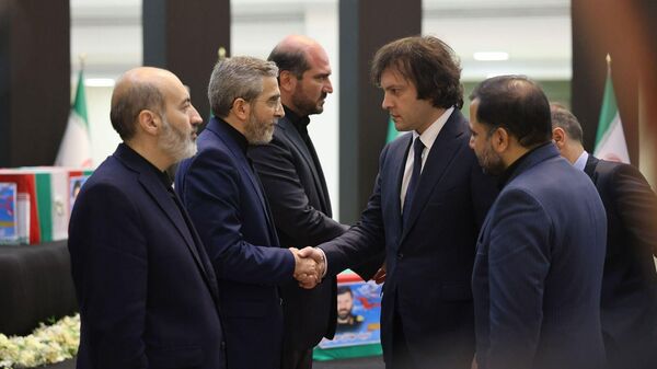 Ираклий Кобахидзе на церемонии похорон президента Ирана - Sputnik Грузия