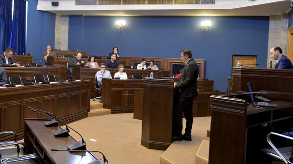 Георгий Мсхиладзе на заседании комитета по юридическим вопросам парламента Грузии - Sputnik Грузия