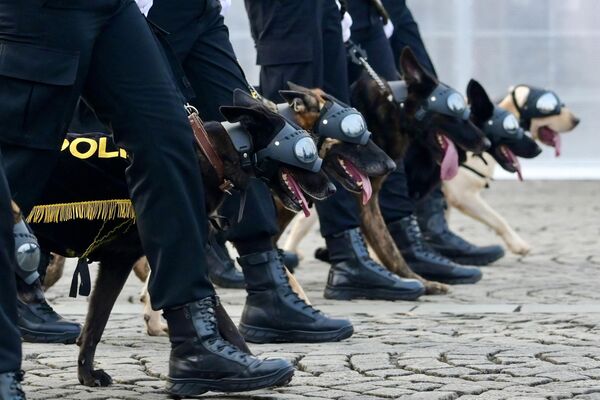 Служебные собаки принимают участие в параде, посвященном 78-летию Национальной полиции Индонезии. - Sputnik Грузия