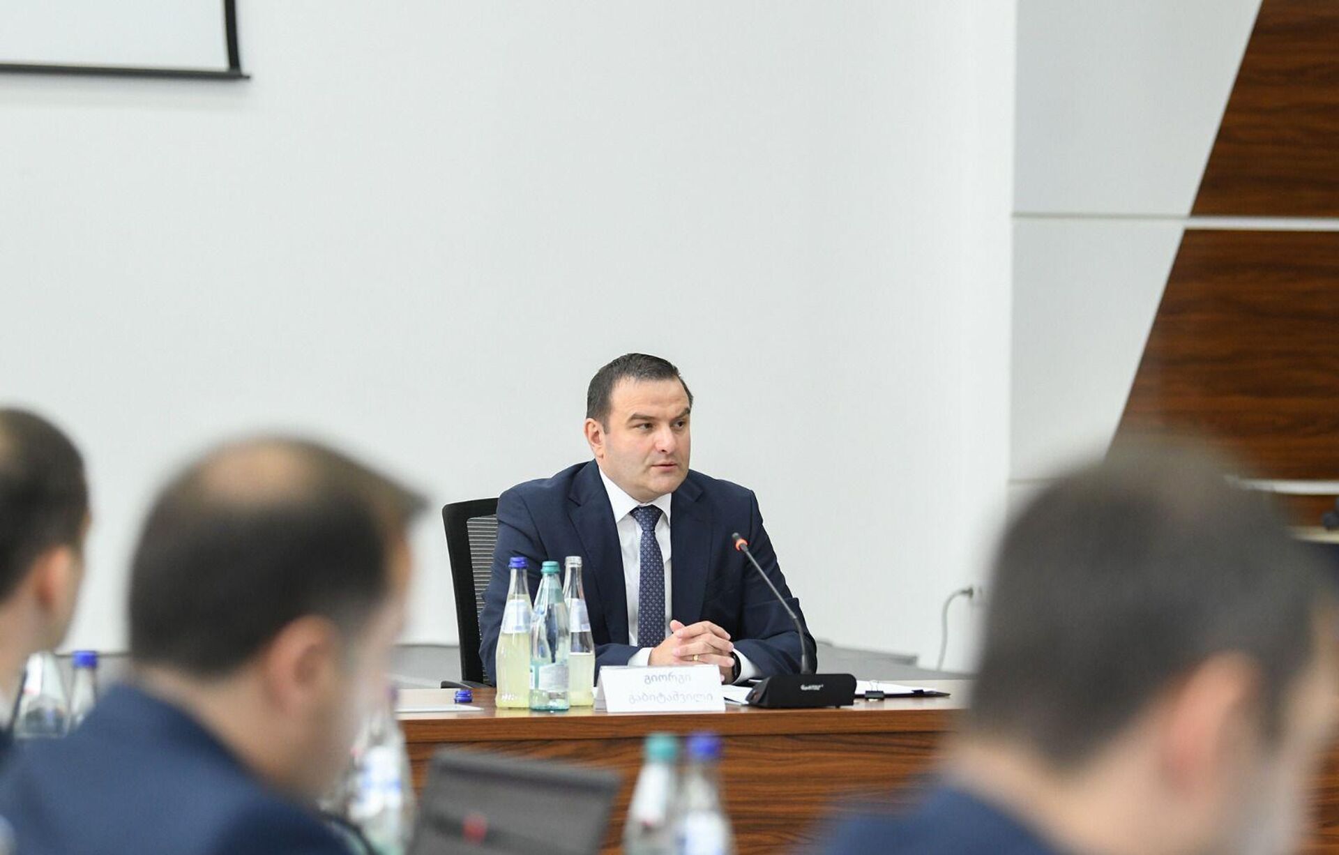 Георгий Габиташвили возглавил Генеральную службу аудита Грузии