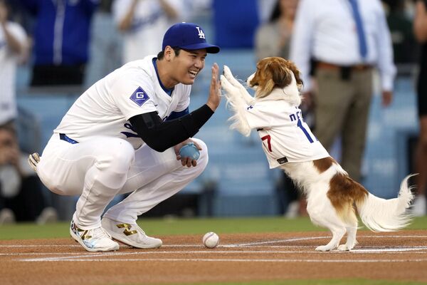 Шохей Отани из Los Angeles Dodgers со своим псом на бейсбольном матче между Dodgers и Baltimore Orioles, в Лос-Анджелесе. - Sololaki Грузия