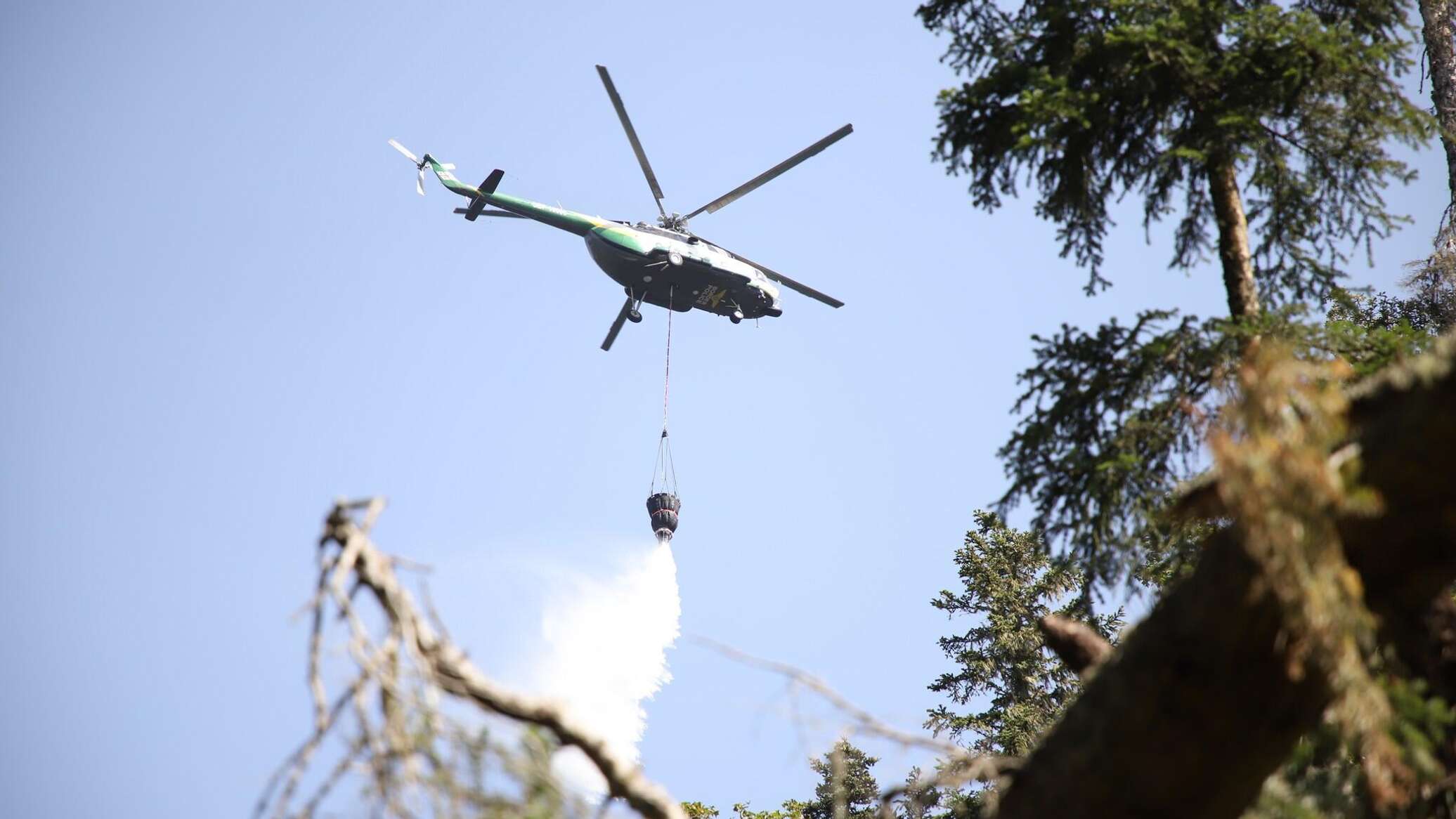 ბაღდათში ტყე იწვის